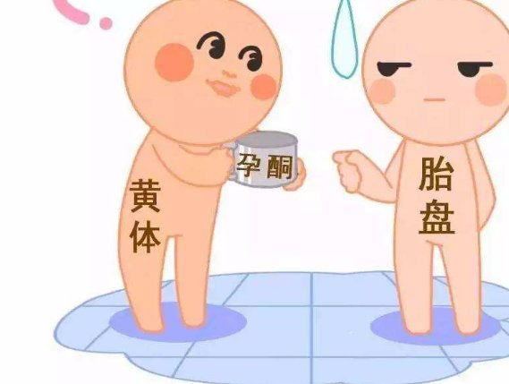 茂名做第二代试管婴儿需要多少钱？如何避免试管婴儿的风险？